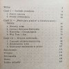 Viola Sachs Idee przewodnie literatury amerykańskiej